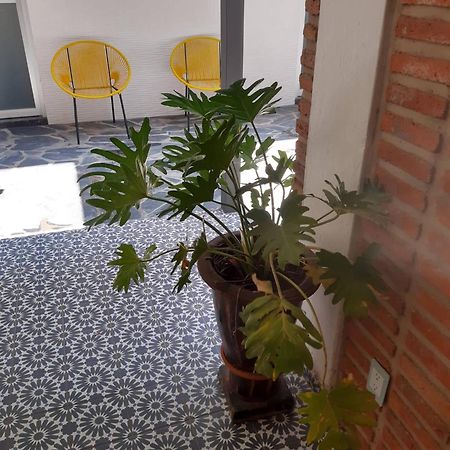 Estudio #5 Casa Fatima, 8 Min Del Centro 1 Persona Γκουανταλαχάρα Εξωτερικό φωτογραφία