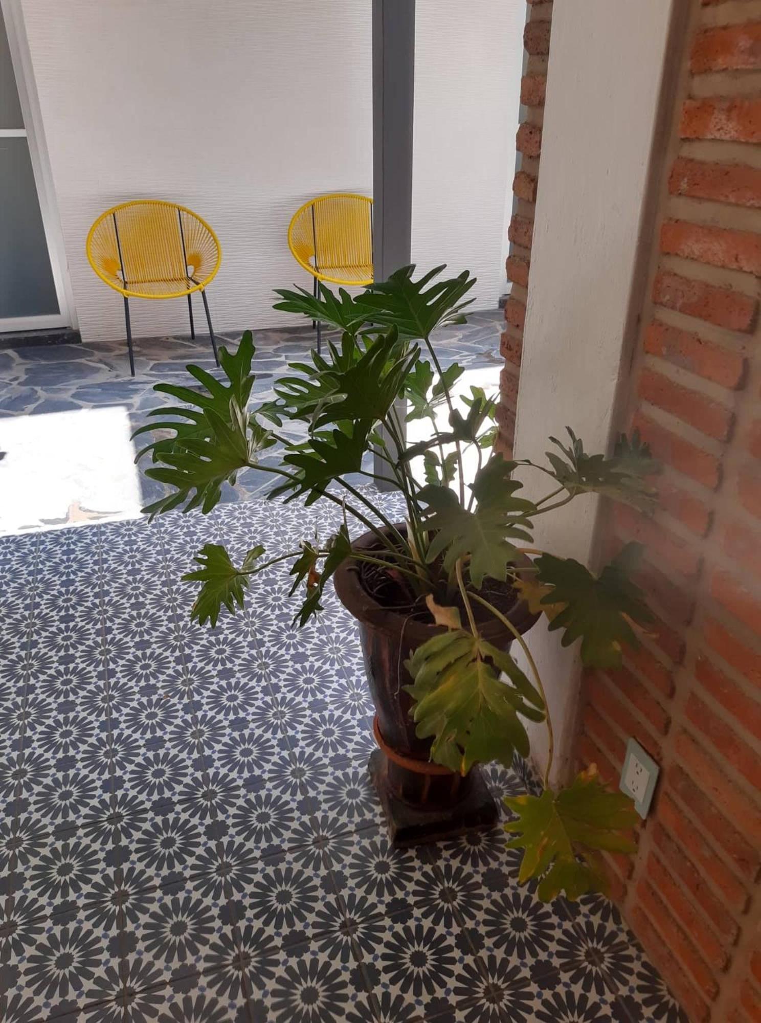 Estudio #5 Casa Fatima, 8 Min Del Centro 1 Persona Γκουανταλαχάρα Εξωτερικό φωτογραφία